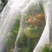 Садовая сетка для защиты от насекомых TENAX MICROFENDER 2х5 м