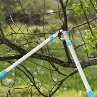 Сучкорезы (веткорезы)