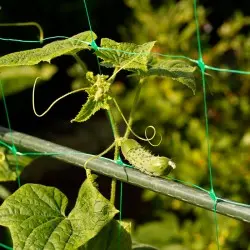 Шпалерная сетка для огурцов Bradas Plant Net 150х170 мм 1,7х100 м