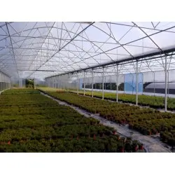 Многослойная тепличная пленка прозрачная Sotrafa Aster Plus 150 мкм 12 м