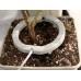Дугова мульти-крапельниця Netafim NetBow 12 см для поливу рослин у горщиках