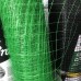 Пластиковая вольерная сетка зеленая Клевер 30x35 мм 1,5х100 м