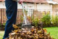 Какие грабли нужны для уборки листвы?